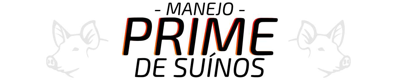 E-book – Suínos Prime – MG